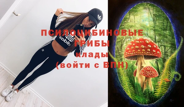 Альфа ПВП Зеленодольск