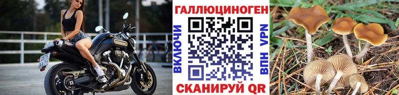 Купить где  Зарайск  Псилоцибиновые грибы ЛСД 
